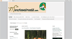 Desktop Screenshot of monchevalmedit.com